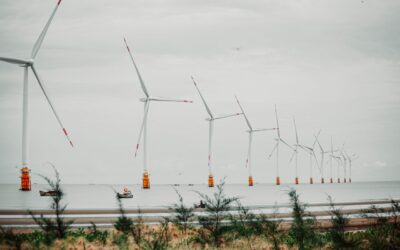 Who Maintains the Energy Transition?